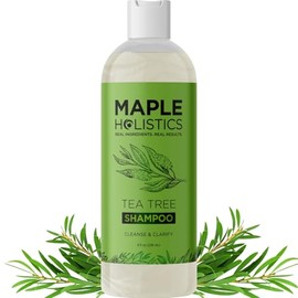 Clarifying Shampoo for Build Up & Oily Hair - Tea Tree Shampoo for Men and Women with Rosemary Essential Oil for Oily Hair and Scalp - Color Safe Vegan Sulfate Silicone & Paraben Free (8 Fl Oz) | Maple Holistics