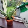 1.5L Pressurised Hand Sprayer - Pump Action Garden Preassure Sprayer
