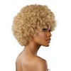 Sensationnel Dashly Wig - Unit 19 Non Lace Cap Ready