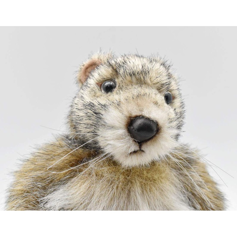 Hansa - Plush Marmot 25cmH