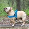 Didog Soft Flannel Padded Dog Vest Harness, No Pull/Quick Fit