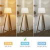 BORT ST58/ST19 Vintage Edison Bulbs, Neutral White 4000K, 6W Equivalent