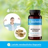Astragalus Capsules - Pack of 200 High Dose with 300