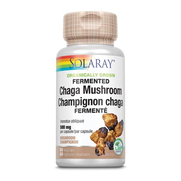Solaray Organically Grown Fermented Chaga Mushroom 500 mg | Healthy Immune Function Support | 30 Servings | 60 VegCaps