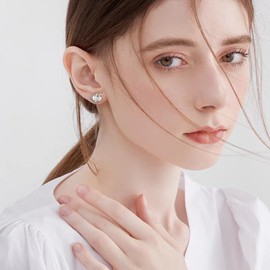 VONALA Pet Hamster Earrings 925 Sterling Silver Cute Animal Guinea Jewelry Gifts for Women