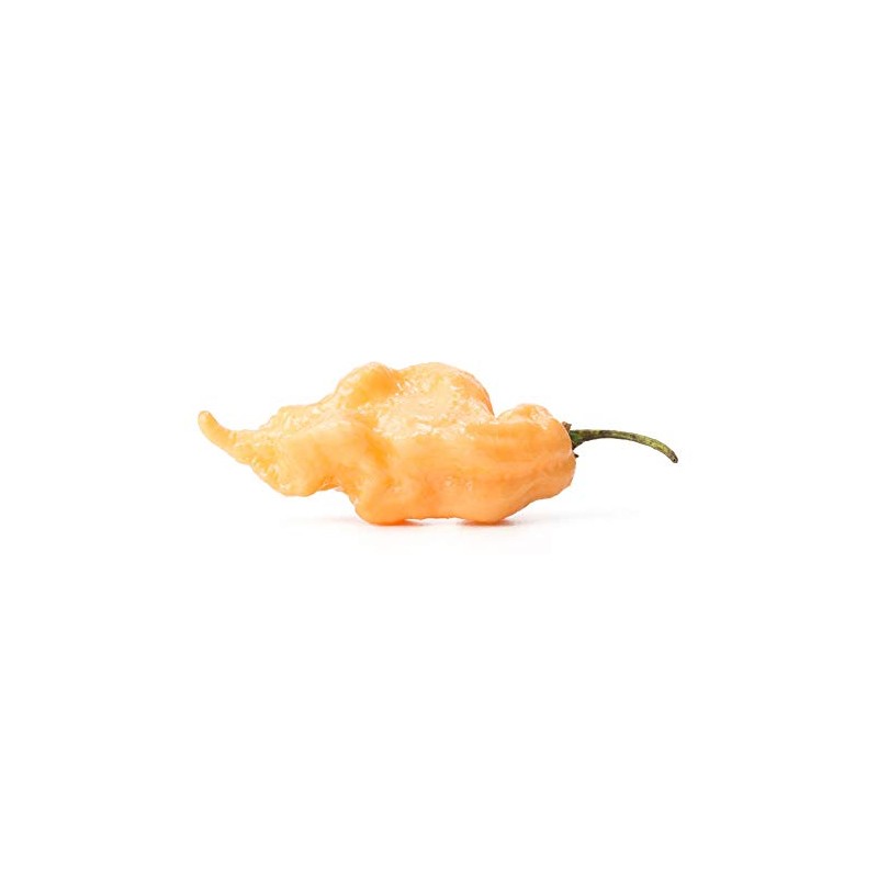 Jay's Peach Ghost Scorpion JPGS Pepper Premium Seeds for Planting