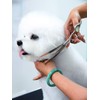 7.0-Inch Curved Thinning Shears for Dog Grooming – Stainless Steel