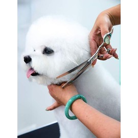 7.0-Inch Curved Thinning Shears for Dog Grooming – Stainless Steel Pet Scissors for Coat Blending and Shaping