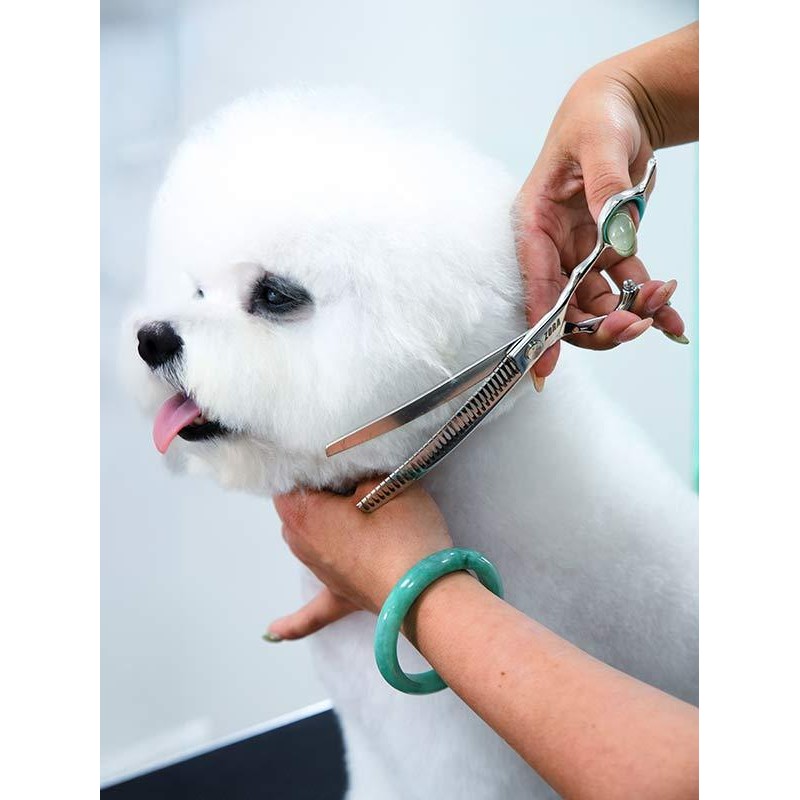 7.0-Inch Curved Thinning Shears for Dog Grooming – Stainless Steel