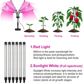 Grow Lights for Indoor Plants, Six Head Plant Light with Full Spectrum, LED Grow Lamps for Seed Starting with Adjustable Gooseneck, Suitable for Flowers Vegetables