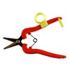 Cactus Harvest that it's your hands Scissor 175 mm 1312