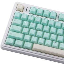 Sunzit Green Keycaps,166 Keys PBT Custom Translucent Keycaps,Cherry Profile Crystal Jelly Keycap Set,Cute Shine Through Keyboard Key caps for Mechanical Keyboards