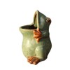 MONMOB Ceramic Frog Shaped Plant Pot Bonsai Flower Pot ucculent