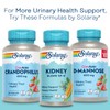 SOLARAY CranActin Cranberry Extract 400 mg - Cranberry Supplements for