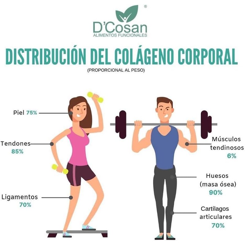 COLAGENO HIDROLIZADO PEPTAH-C JUMBO