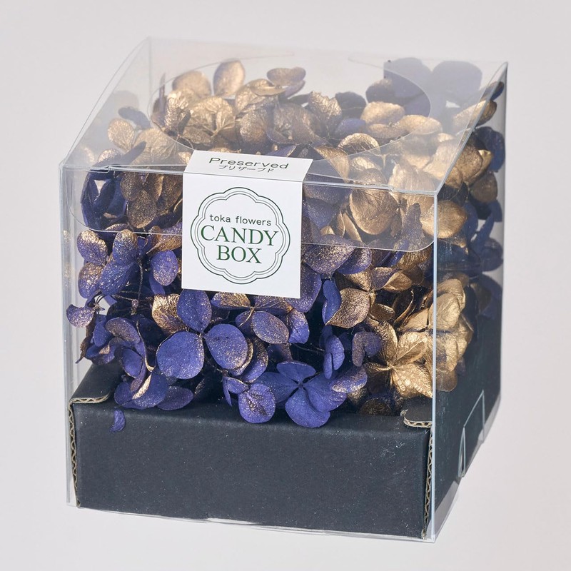 東北花材 プリザーブドフラワー FMソフトアナベル キャンディBOX BOXサイズ□8×H8cm 1輪入 DT080785-zzz