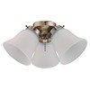 Westinghouse 7784800 Three LED Cluster Ceiling Fan Light Kit, Antique