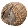 Mini Animan Hand-Woven Natuhouse Dome Rabbit
