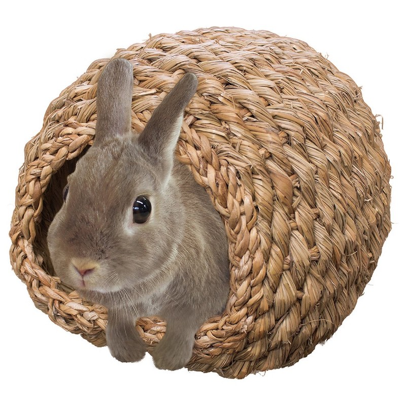 Mini Animan Hand-Woven Natuhouse Dome Rabbit