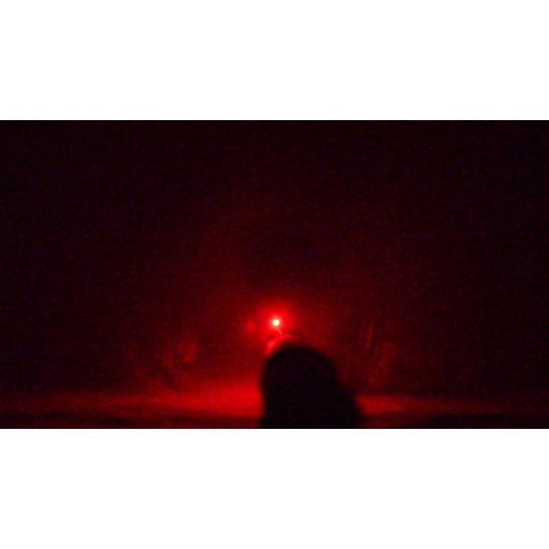 TB17L RED GREEN 21" TRAFFIC FLASHING + FLASHLIGHT + POINT