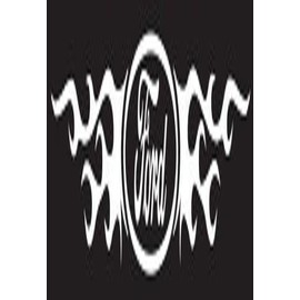 Chroma Graphics 3703 Ford Logo w/Flames - Windshield Decal