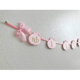 Little Pumpkin 1st Birthday Photo Banner in Pink and Gold Chic. First Birthday Decorations. Monthly Photo Clips. Milestone Photo Shoot. Months in Digits.