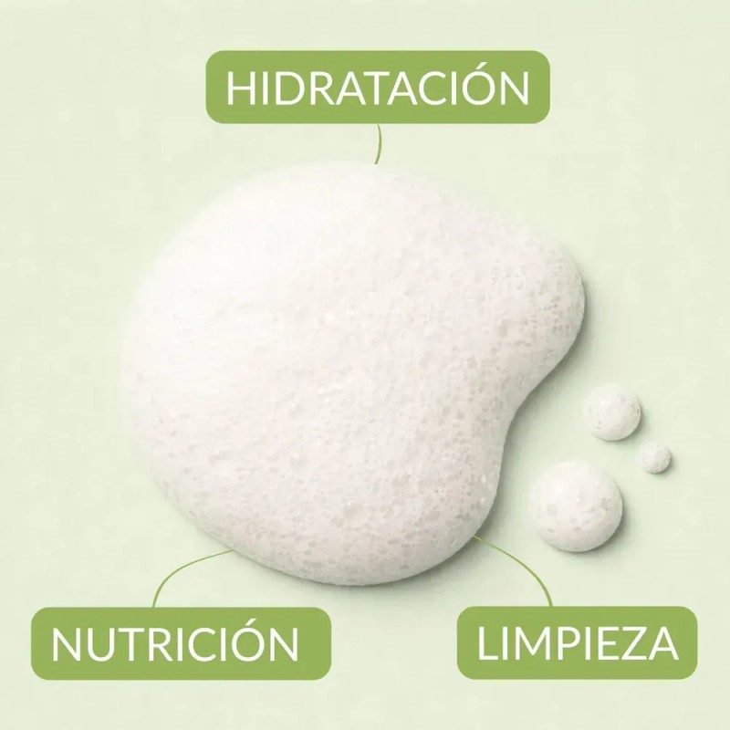 Shampoo Capilar De Limón 500ml