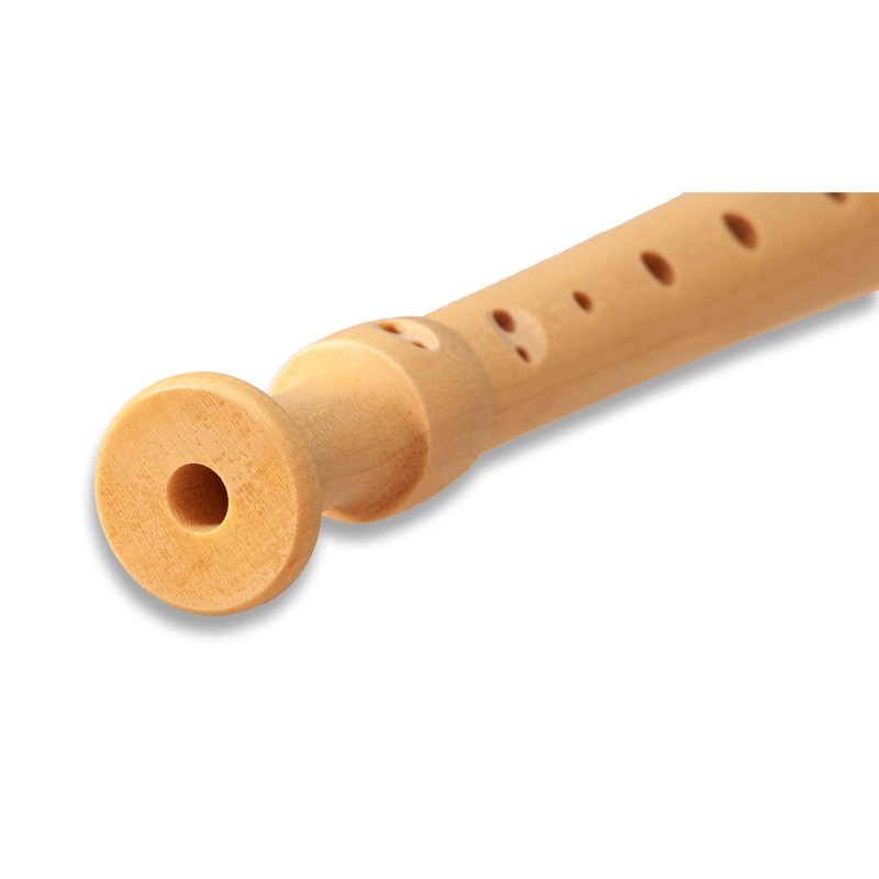 Mollenhauer 17211 Fipple Soprano Recorder, Lere, Apple Green, German Dopl.