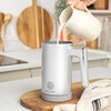 Montalatte elettrico Salter Aspen 150/300 ml, schiuma calda e fredda