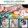 Umami All-in-1 1.2 L Bento Lunch Box Adult with Cutlery,