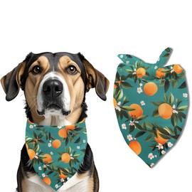 Cute Fruit Dog Bandana, Orange Melon Pet Scarf, Pet Accessories Bibs, Green Square Adjustable Girl and Boy Dog Scarf