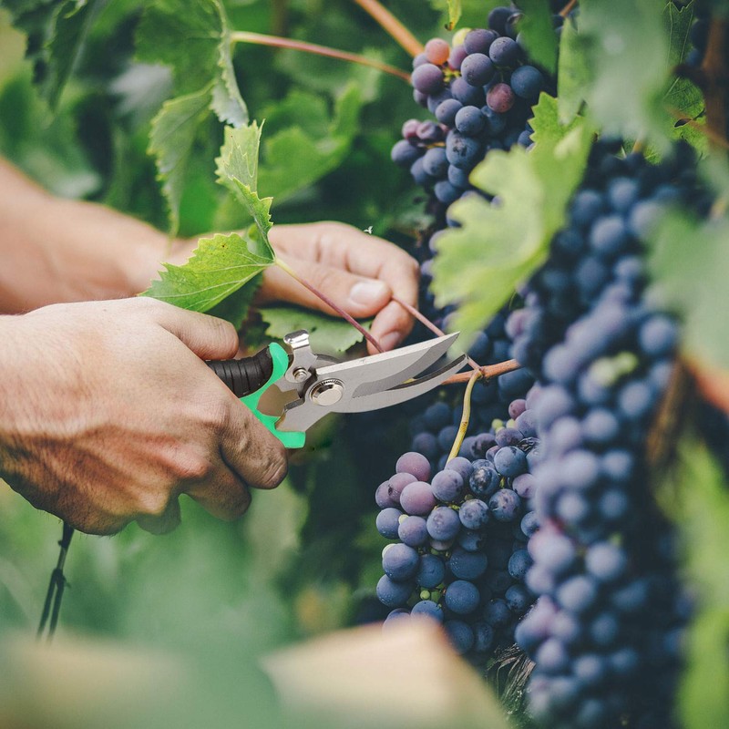 Pruning Shears Sharp Blade Bypass Hand Pruner - Garden Secateurs