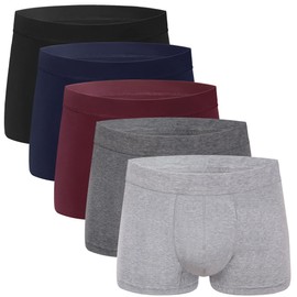 AIRCUTE Washable Incontinence Underwear for Men Leakproof Urinary Bladder Leakage Protection Panties Absorbency Boxer Briefs 65ml 5Pack (L,5 Color)