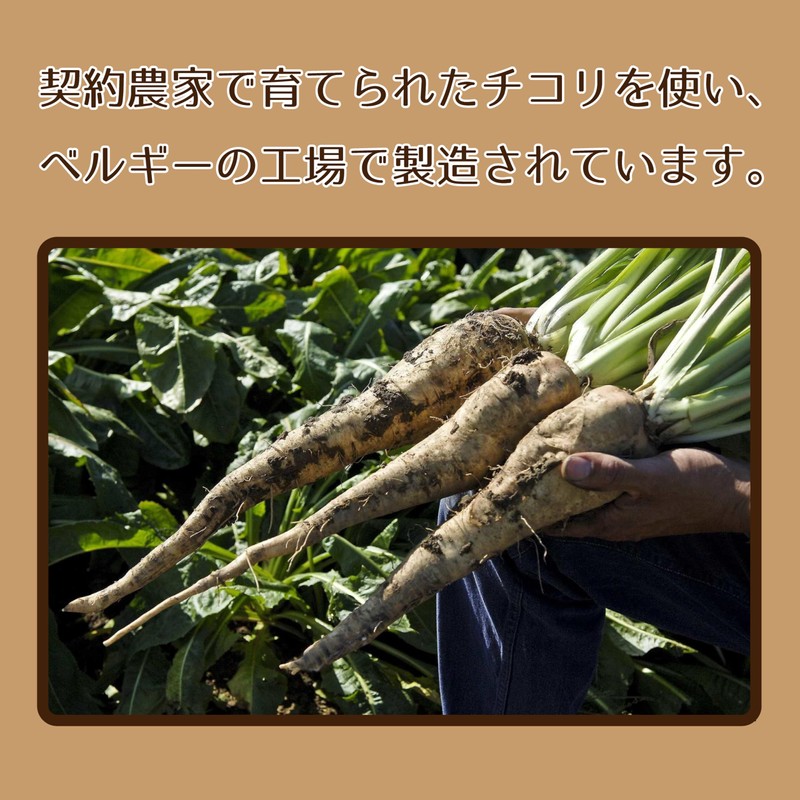 JAY&CO. 97.5% Pure Fructooligosaccharide (100% Chicory grown in contract farmers