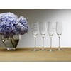Mikasa Cheers Champagne Flutes, Set of 4