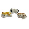 speed mao Cute Snooze Cat Ceramic Chopsticks Rest Caratry Set