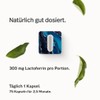 edubily Lactoferrin - Lactoferrin Capsules as High-Quality Iron-binding Protein -