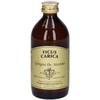 Dr. Giorgini FICO (Ficus Carica) Gemmoderivato Concentrato Liquido Analcoolico -