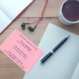 Evergreen Goods 76 x 127 mm Pastel Pink Peel and Stick Notes (Pack of 6)