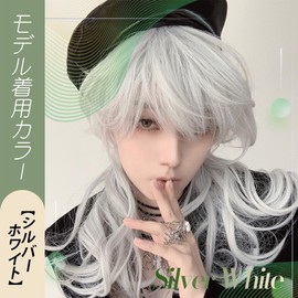 FESHFEN Wig, Wolf, Men's, Short, Full Wig, Long, Mashwolf, Men's Dresses, Wig, Wolf, Cut, Wig, Men's Curl, Harajuku, Handsome, Handsome, Natural, Small Face, Heat Resistant, Fashion, Imechan, Unisex,