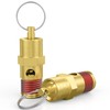 HONSNKS 2 Pcs 1/4" NPT(M) 200 PSI Air Compressor Pressure