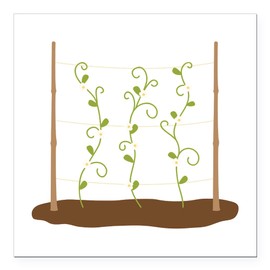 CafePress Homegrown Sprouts Square Car Magnet 3 X 3 Square Car Magnet, Magnetic Bumper Display