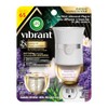 AIR WICK® SCENTED OIL - Kit - 1+1 Pulse Vibrant™