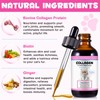 Liquid Collagen Drops for Cats, Skin and Coat Supplement for