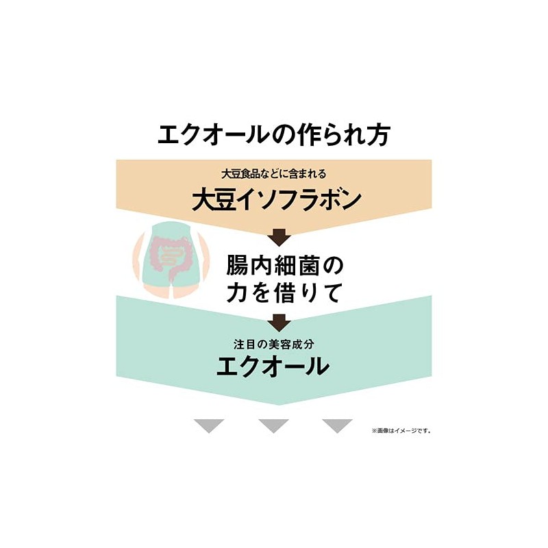 ガセリ菌 エクオール 90粒