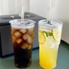 Guwithlu 20oz Glass Cups with Lids and Straws-2pack Glasses Tumbler
