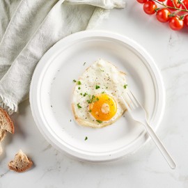 Elegant Disposables 100% Compostable PLA Forks Bulk Pack 400 Pcs Biodegradable Disposable Plastic Cutlery Utensils