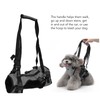 Cat Vest Harnesses Leash Adjustable Breathable Stylish Multifunctional Pet Walking