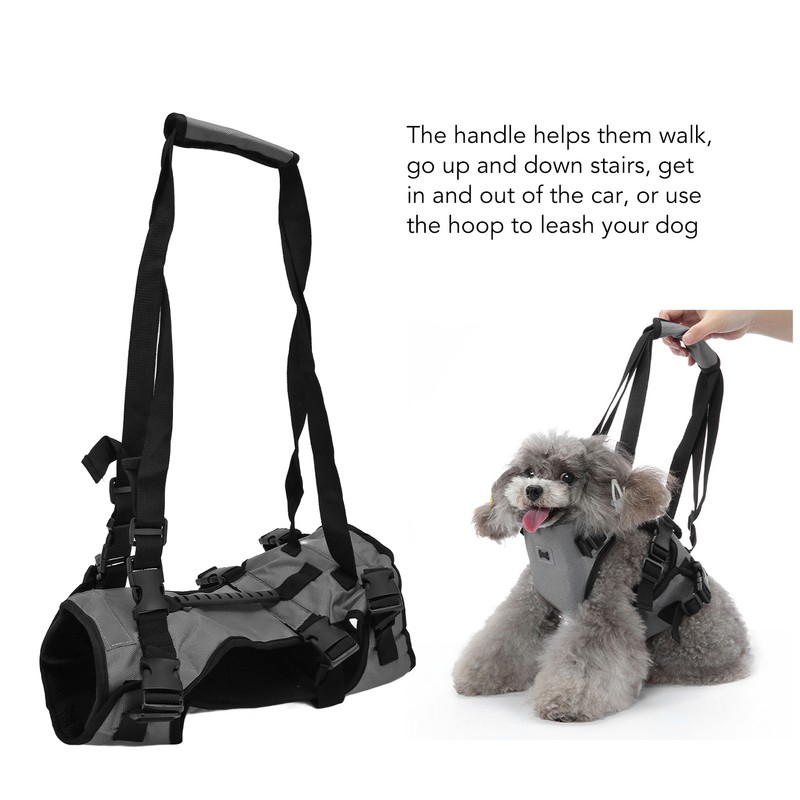 Cat Vest Harnesses Leash Adjustable Breathable Stylish Multifunctional Pet Walking