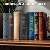Book Safe with Combination Lock, Hidden Safe (9.5 x 6.2